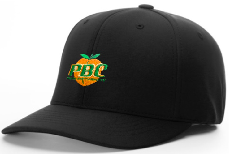 Richardson Black 8-Stitch Base Umpire Hat (PBC)