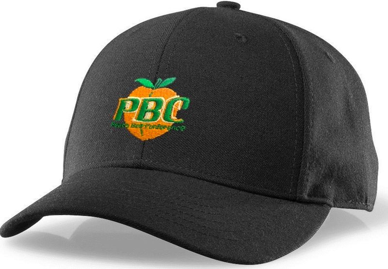 Richardson Black 6-Stitch Base Umpire Hat (PBC)